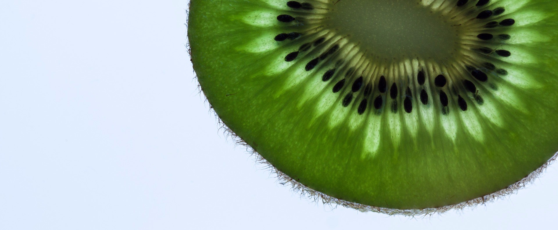 I frutti dell’autunno: il kiwi